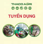 Công Ty Thái Việt Agri Group Tuyển Dụng