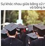 Cử Nhân Với Kỹ Sư Khác Nhau Như Thế Nào