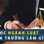 Học Ngành Luật Ra Làm Nghề Gì