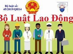 Luật Lao Động Điều Chỉnh Tất Cả Các Quan Hệ Lao Động Trong Đời Sống Xã Hội Đúng Hay Sai