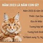 Xkld Mỹ 2022 Là Gì ؟ 1 Tháng 5 Tháng Tuổi